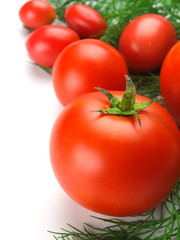 fresh tomatoes isolated on white background