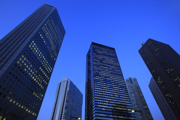 Fototapeta premium Evening Scene of Skyscrapers in Shinjuku Subcenter area