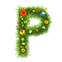 Spring letter 