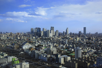 Naklejka premium Skyscrapers of Shinjuku Subcenter Area