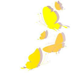 butterflies design