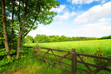 Fence in the green field under blue sky