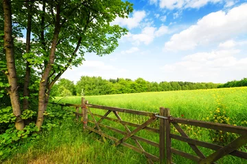 Fototapeten Zaun im grünen Feld unter blauem Himmel © wajan