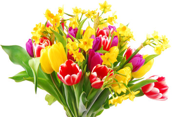 tulip and daffodil bouquet isolated on white