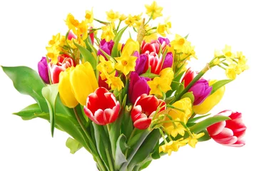 Foto auf Acrylglas Narzisse tulip and daffodil bouquet isolated on white