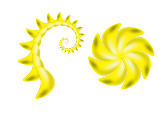 Scorpion sting and flower