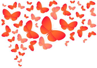Colorful vector butterflies on white