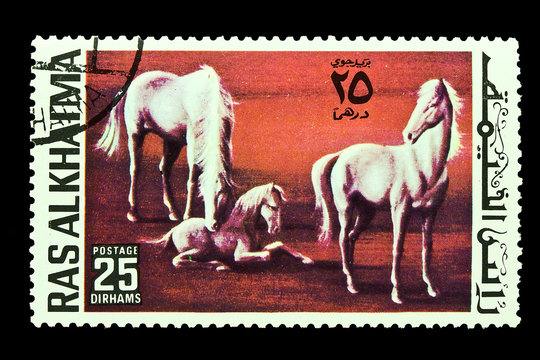 Postage stamps Horses