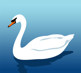 Swan