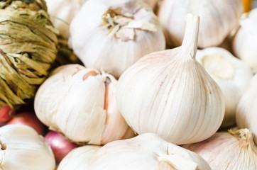 Garlic