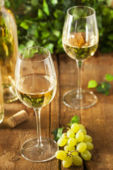 Fototapeta premium Refreshring White Wine in a Glass