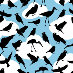 Seamless pattern with silhouettes birds on sky background