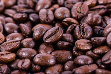 coffee beans closeup