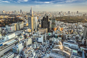 Kussenhoes Stadsgezicht van Tokio © SeanPavonePhoto