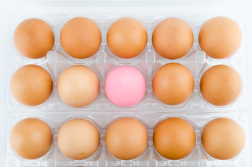 Eggs packed isolated white background