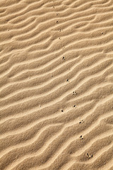 Sand footprints