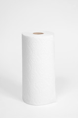 Roll of paper towel