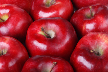 Fototapeta na wymiar tło czerwone dojrzałych jabłek