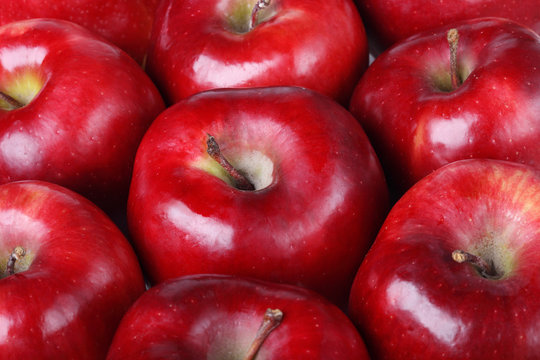 background of red ripe apples