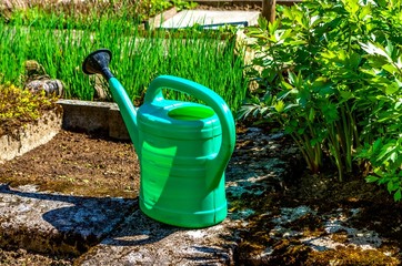 Green watering can and vegetables in the garden.