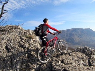 mountain bike