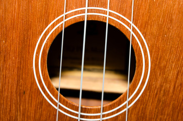 Obraz premium Ukulele