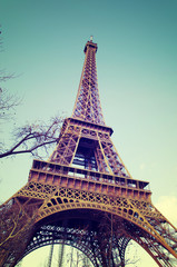 Fototapeta premium Eiffel Tower in Paris