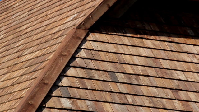 The cedar wooden shingle rooftop of the small log house