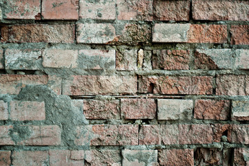 Old wall  texture