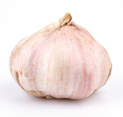 Obraz premium Garlic