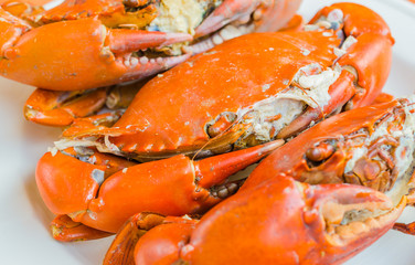 Grilled Crab on white plate