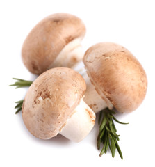 Fresh mushrooms isolated on white