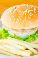 Hamburger and french fries , fast food