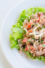 spicy tuna salad