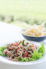 spicy tuna salad
