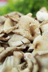 fresh mushrooms in the market