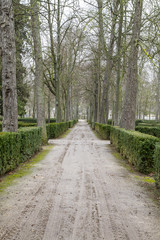 Fototapeta na wymiar piękne ogrody Pałacu Aranjuez, Madryt, Hiszpania