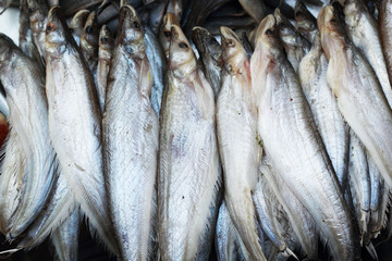 Fototapeta premium Fresh fish in the market.