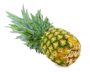 Ripe whole pineapple isolated on white background.