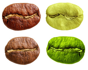 Black and green arabica, robusta coffee bean, grain isolated on