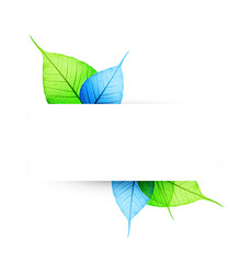 Macro green and blue leaf abstract eco background