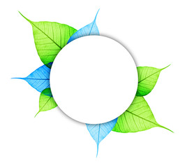 Macro green and blue leaf abstract eco background