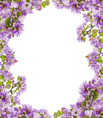 Fototapeta na wymiar tree lilac flower branches frame