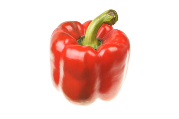 Single bright ripe red pepper