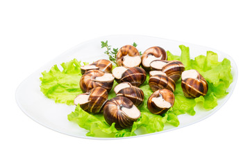 Escargot