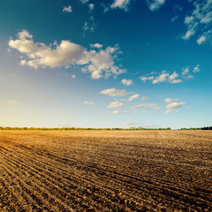 black field after harvesting and blue cloudy sky