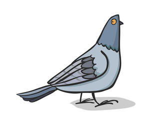 Dove