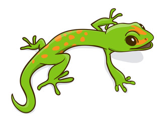 Gecko phelsuma