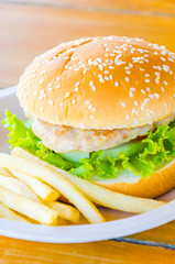 Hamburger and french fries , fast food