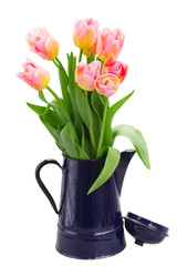 yellow and pink tulips bouquet